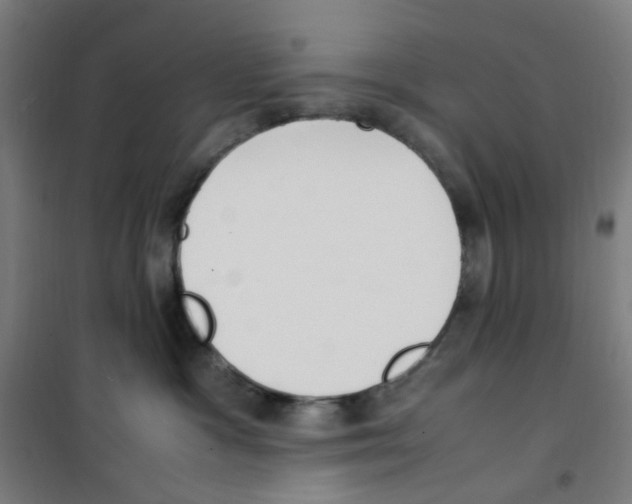 X0000100340333200807031304