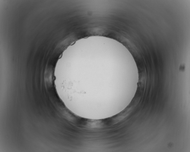 X0000100340334200807031304