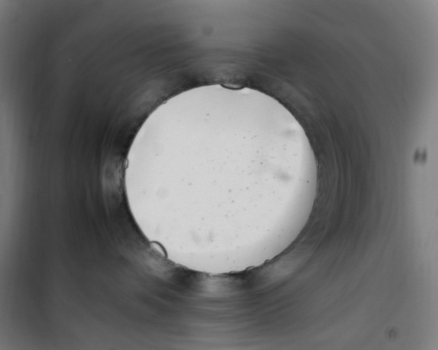 X0000100340336200807031304