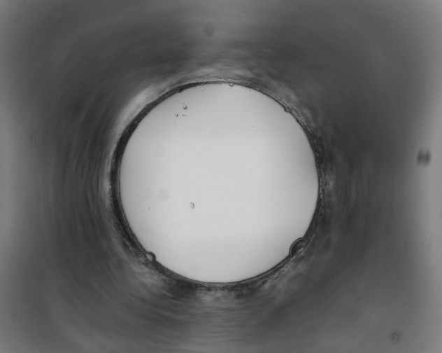 X0000100340340200807031303