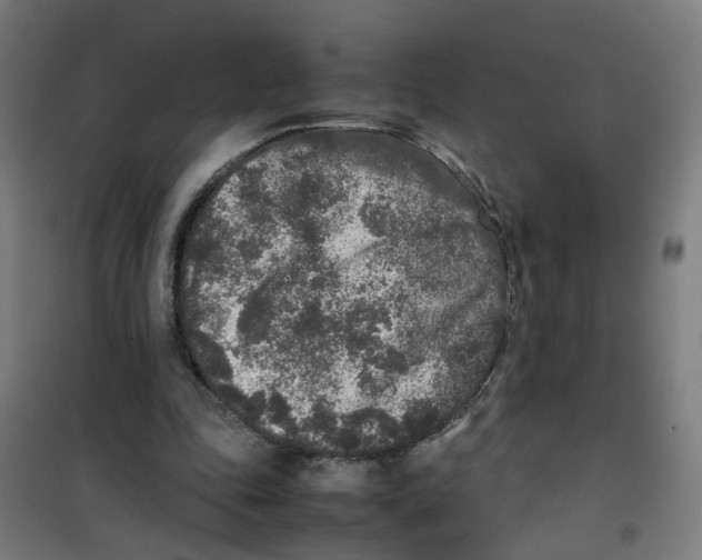 X0000100340343200807031303