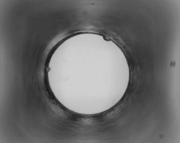 X0000100340344200807031303