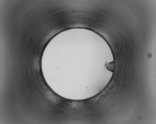 X0000100340345200807031304