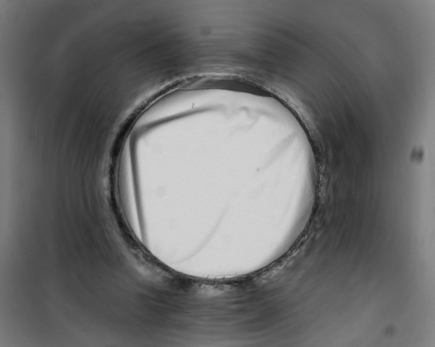 X0000100340346200807031304