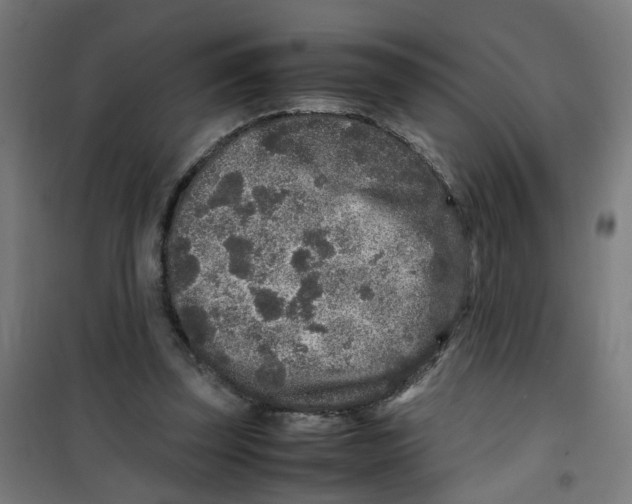 X0000100340347200807031304