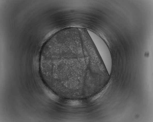 X0000100340349200807031304