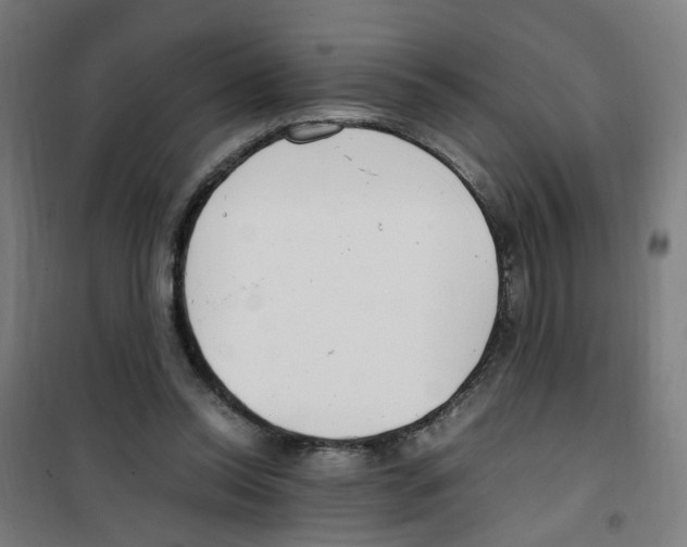 X0000100340350200807031304