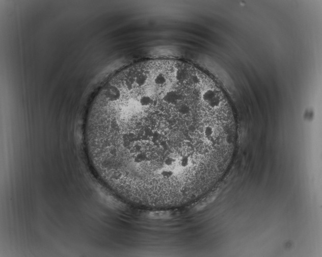 X0000100340353200807031304