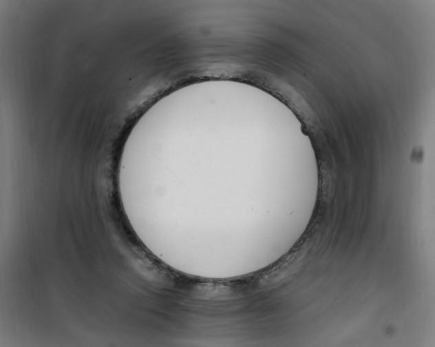 X0000100340354200807031304