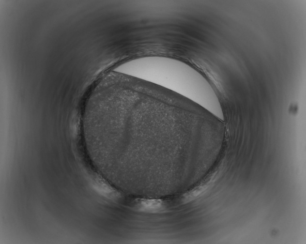 X0000100340355200807031304