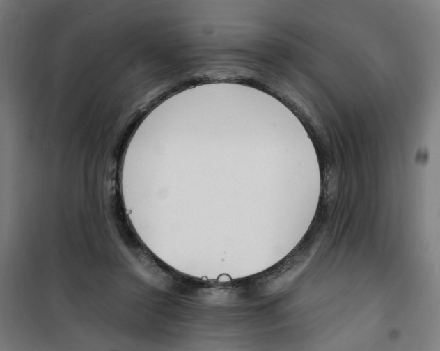 X0000100340356200807031304