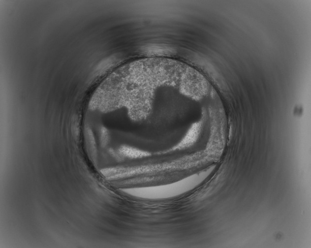 X0000100340357200807031304