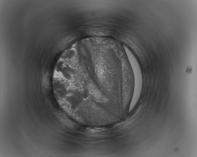 X0000100340359200807031304