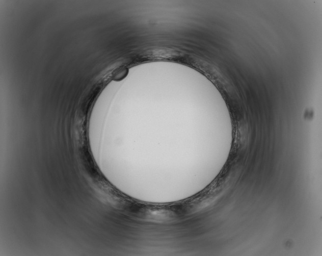 X0000100340360200807031304