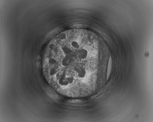 X0000100340361200807031304