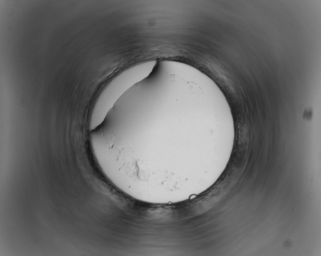 X0000100340362200807031304