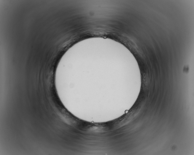 X0000100340364200807031304