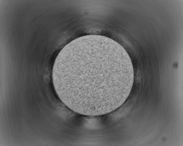 X0000100340370200807031304