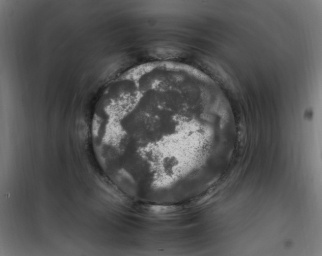 X0000100340371200807031304