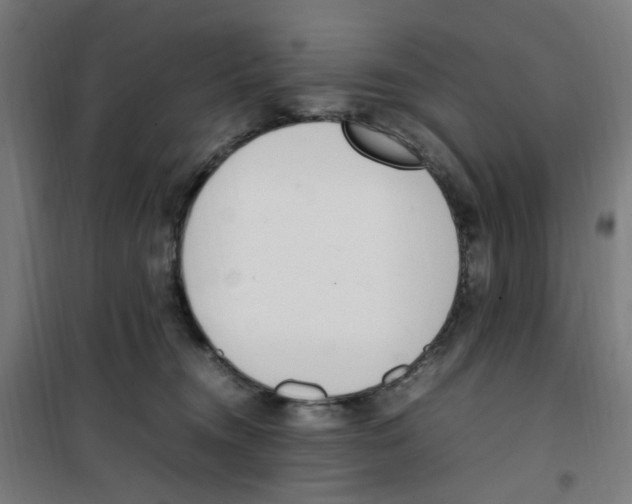 X0000100340372200807031304