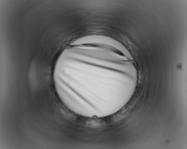 X0000100340377200807031304