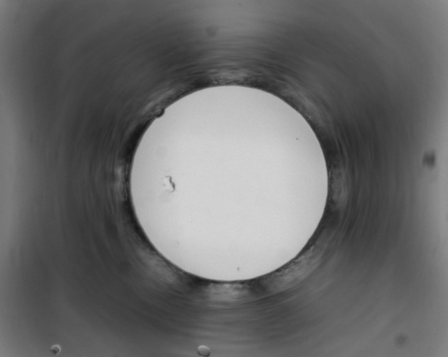 X0000100340378200807031304