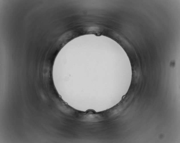 X0000100340379200807031304