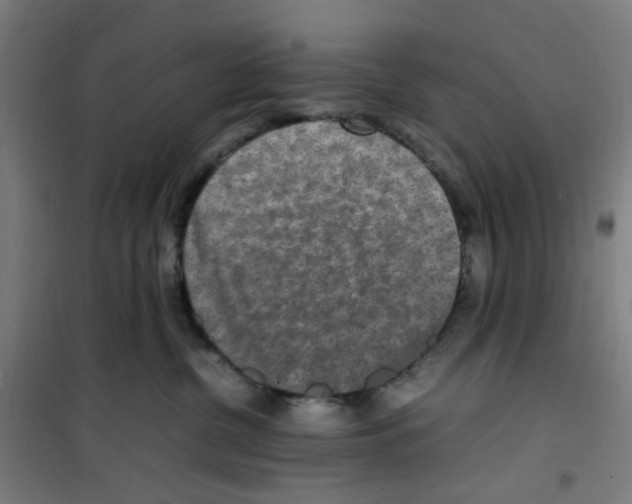 X0000100340380200807031304