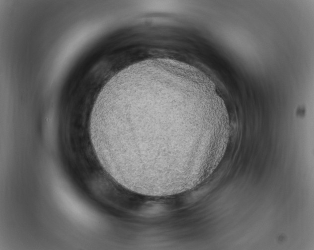 X0000100340381200807031304