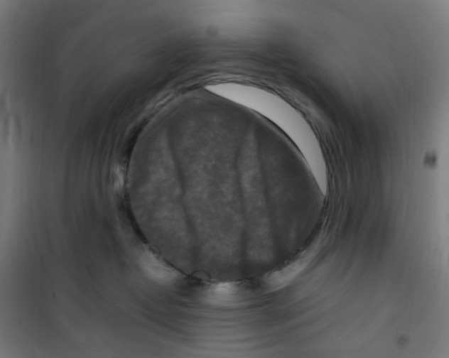 X0000100340382200807031304