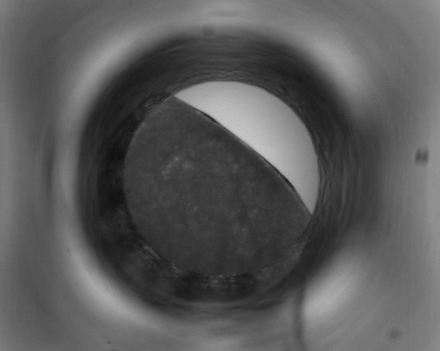 X0000100340383200807031304