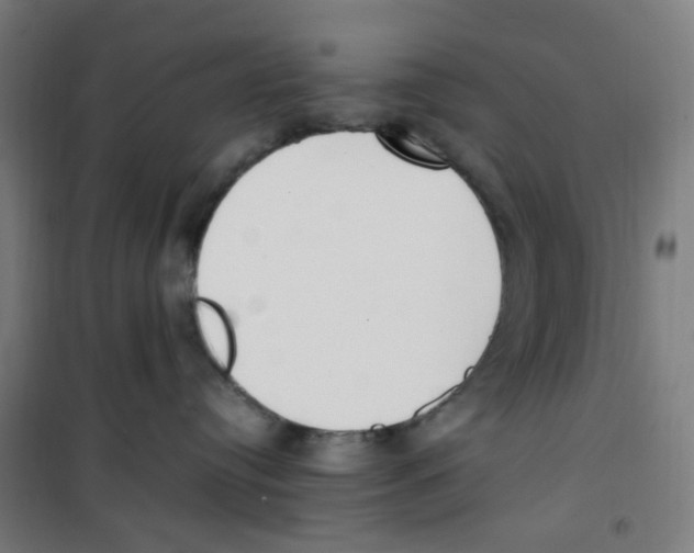 X0000100340384200807031304