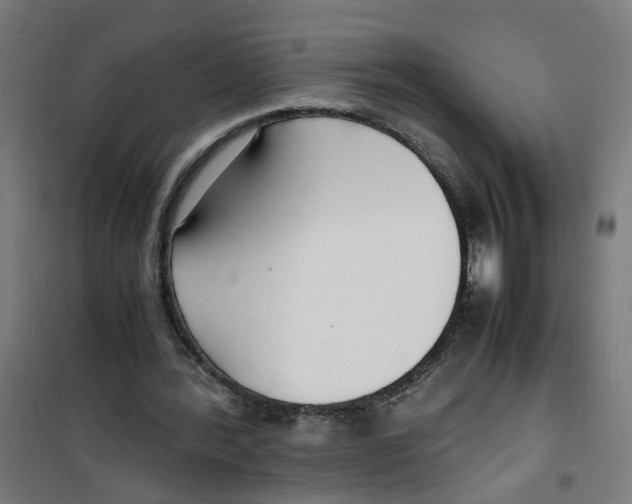 X0000100340388200807031303