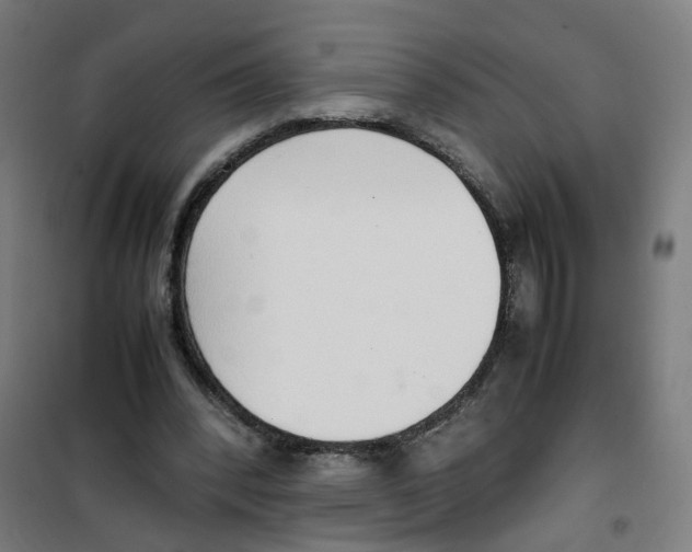 X0000100340392200807031303