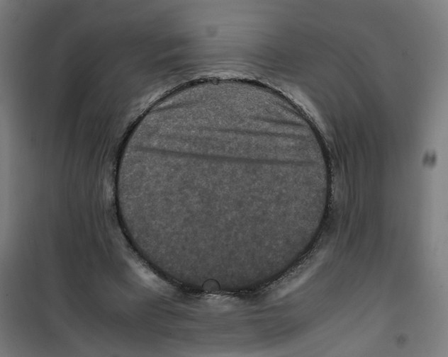 X0000100340393200807031303