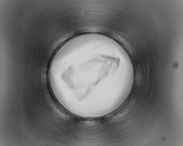 X0000100340394200807031303