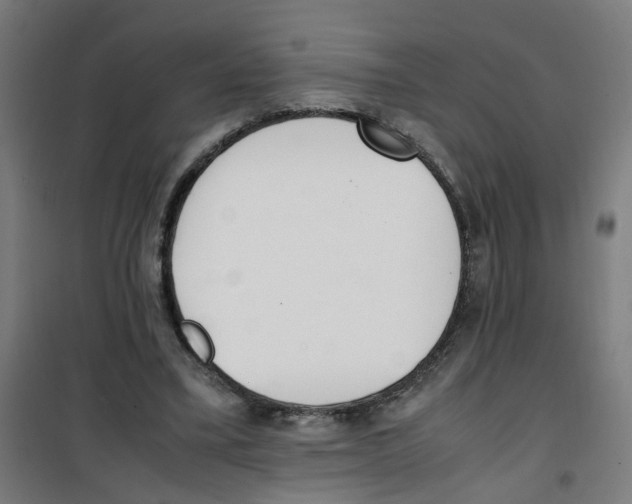 X0000100340395200807031303