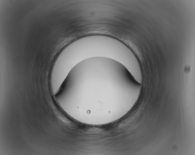 X0000100340397200807031303