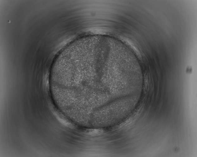 X0000100340398200807031303