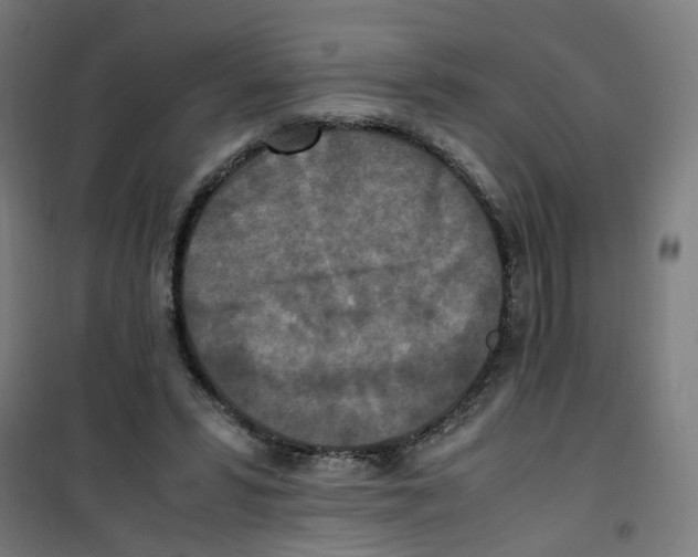 X0000100340399200807031303