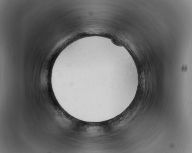 X0000100340400200807031303