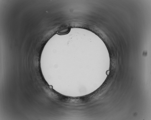 X0000100340401200807031303