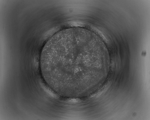 X0000100340402200807031303