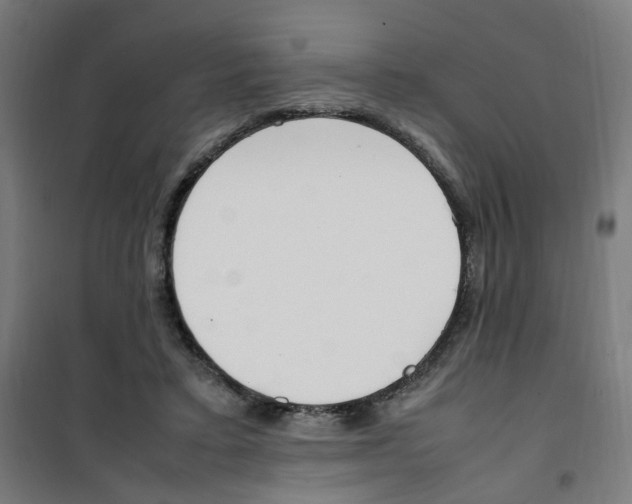 X0000100340403200807031303