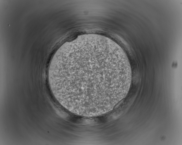 X0000100340405200807031303