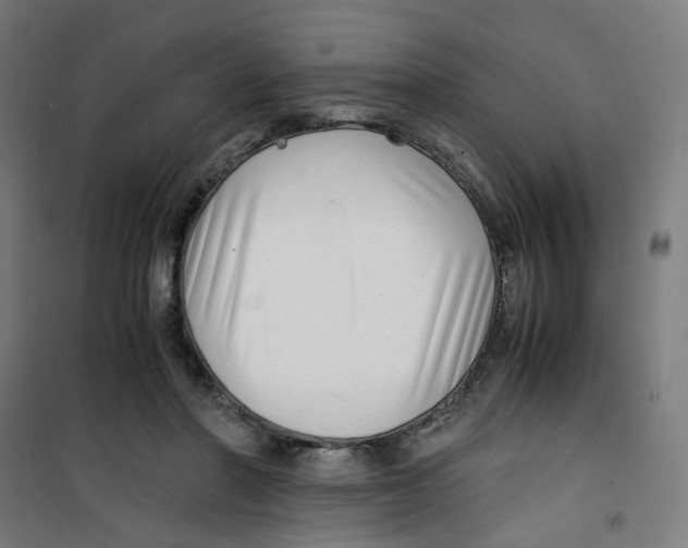 X0000100340406200807031303