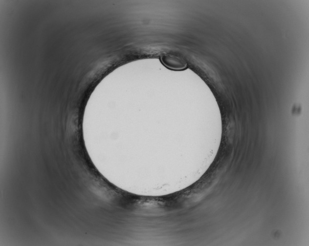 X0000100340407200807031303