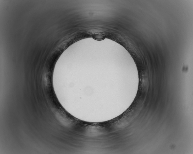 X0000100340408200807031303