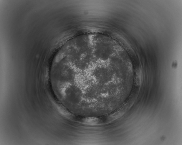 X0000100340410200807031303