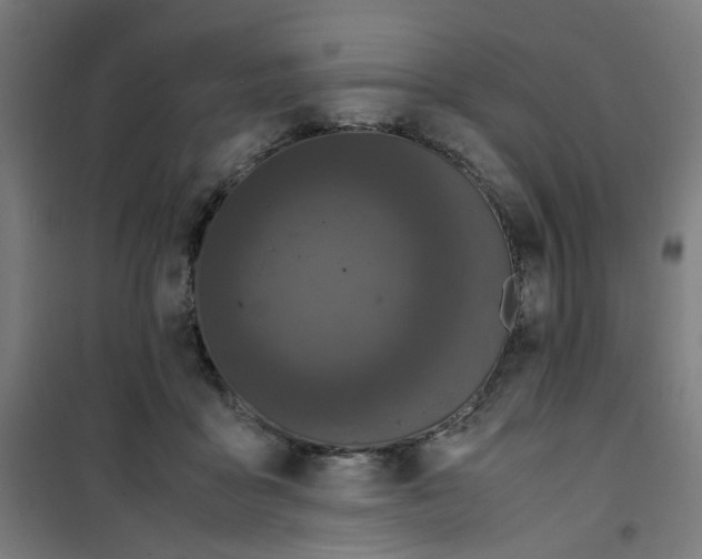 X0000100340411200807031303